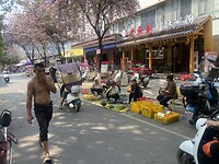 IMG_2446