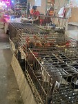 IMG_2454