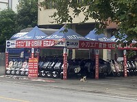 IMG_2489