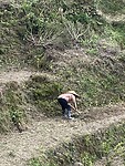 IMG_2503