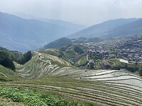 IMG_2504