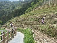 IMG_2505