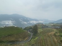 IMG_2518