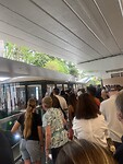 IMG_2547