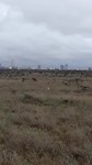 Nairobi National Park