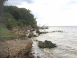 Erosie op Wight langs de Solent