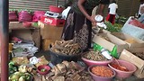 Markt Poya Day Tangalle