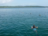 Snorkelen