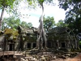 Ta Prohm op z' best