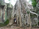 Big tree