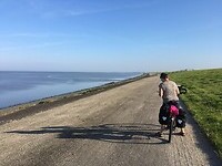 Waddenzeedijk