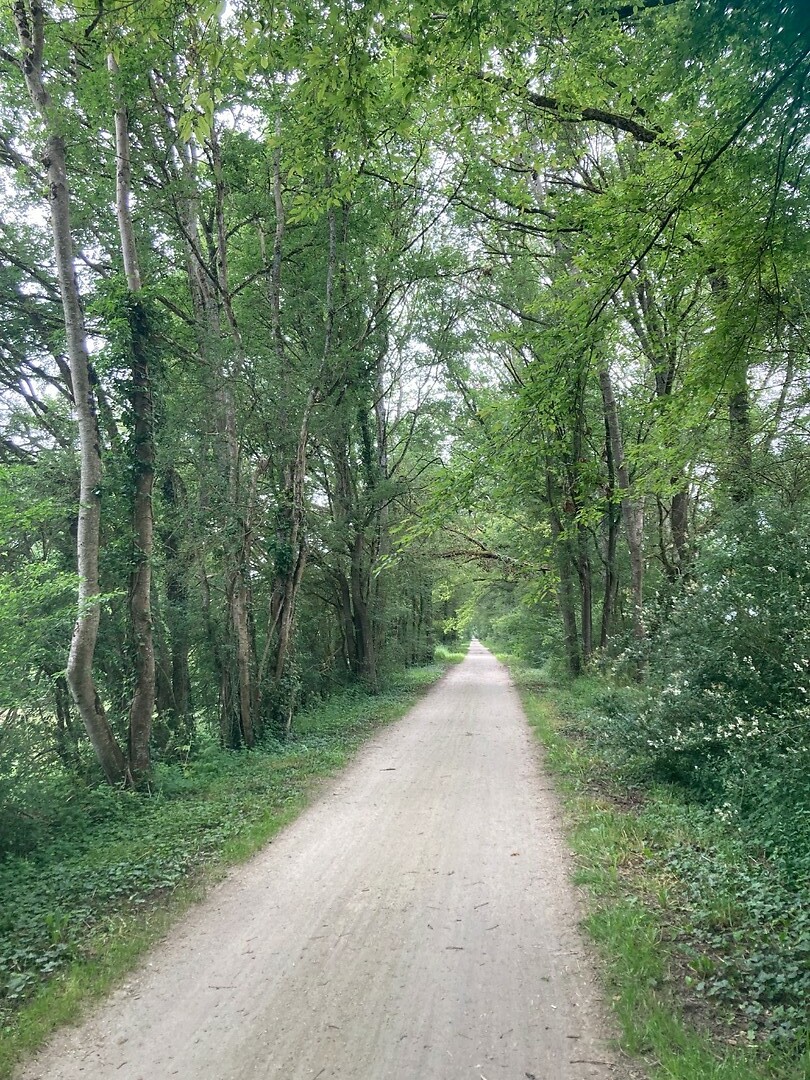 Kilometers lang