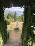IMG_6029