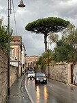 IMG_6054