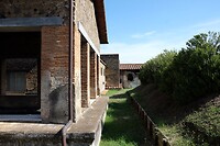 DSCF7485
