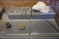 DSCF7659