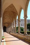 DSCF7905