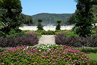 DSCF7977