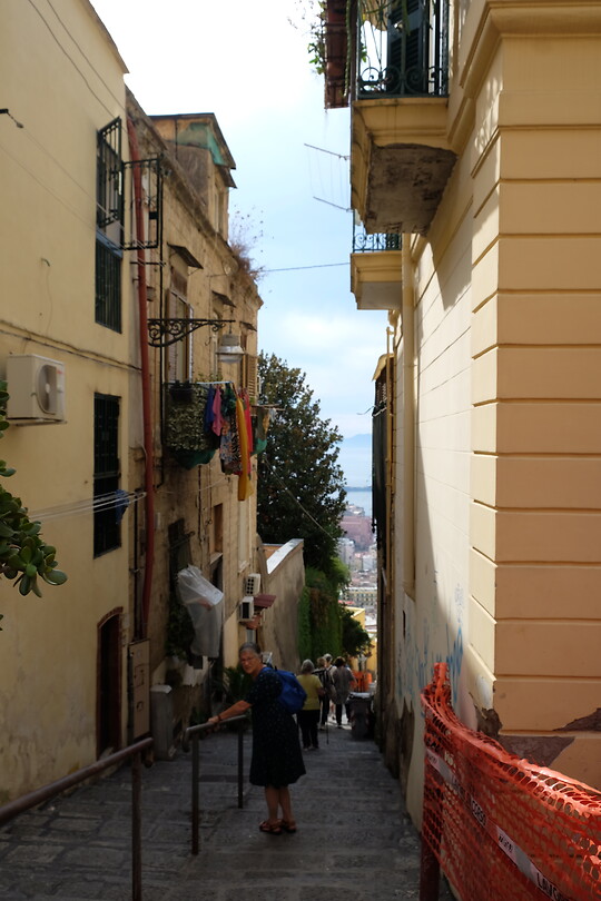 DSCF8095