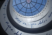 DSCF8134