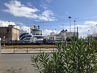IMG_5169