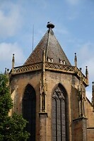 DSCF8821