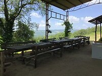 IMG_0417
