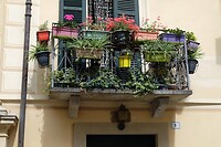 DSCF9017