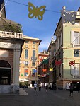 IMG_5968