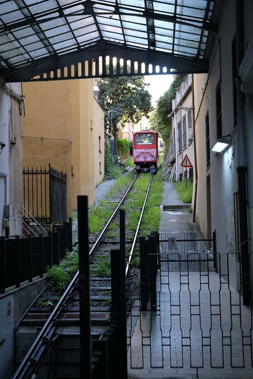 DSCF9079
