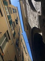 IMG_5996