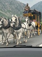 IMG_8677