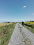 Po vlakte