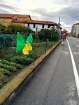 San Rocco