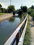 Waterloop met Vederkruid