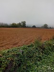 De aarde van Siena
