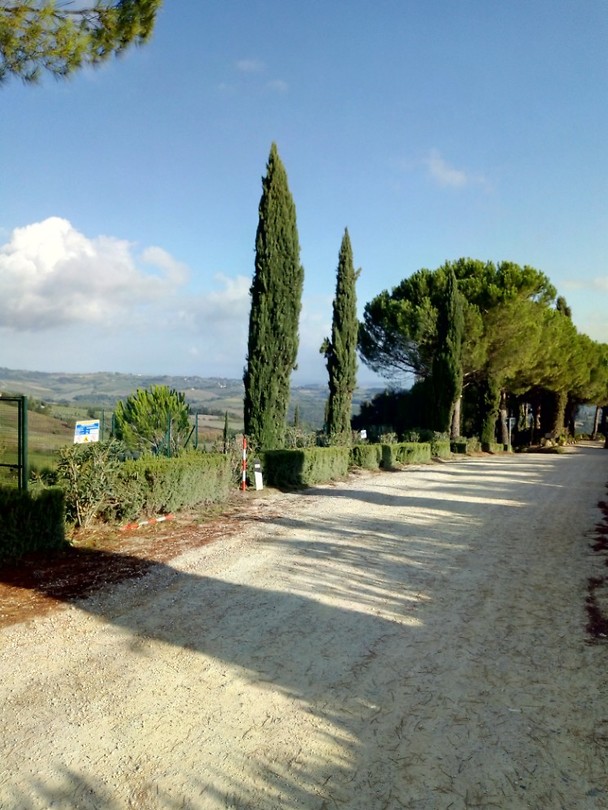 Toscane