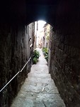 Viterbo