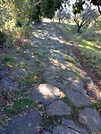 Romeinse weg
