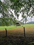 Schaapskooi
