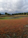 Natuurpark Maasduinen