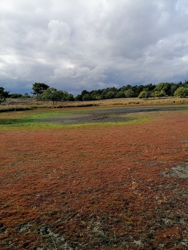 Natuurpark Maasduinen
