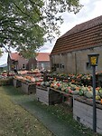 Pompoenen verkoop bij Groesbeek