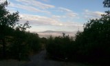 IMAG1136_1