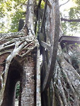 Sugar mill