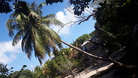 In het dorp Placencia
