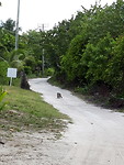 20200302_160808
