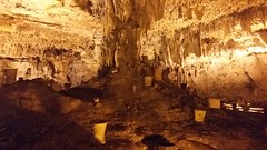 20170125_113526