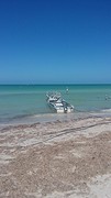 20170126_130658