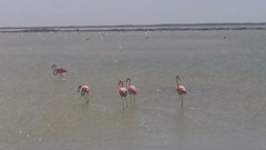 20170126_122040